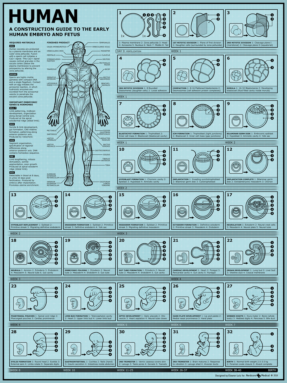 How to be a Human content curation example