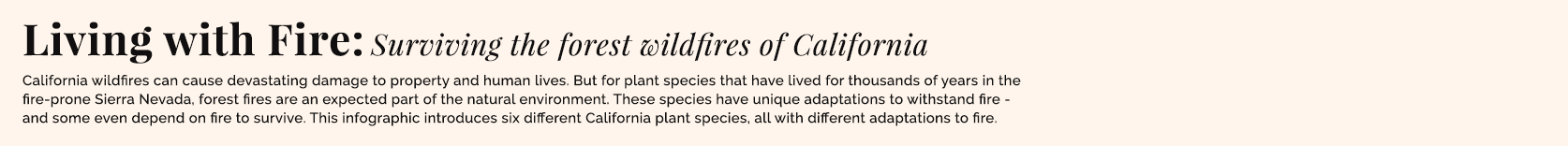 Living with fire: Surviving the forest wildfires of California