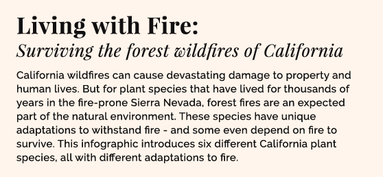 Living with fire: Surviving the forest wildfires of California